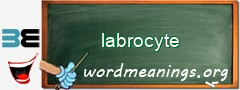 WordMeaning blackboard for labrocyte